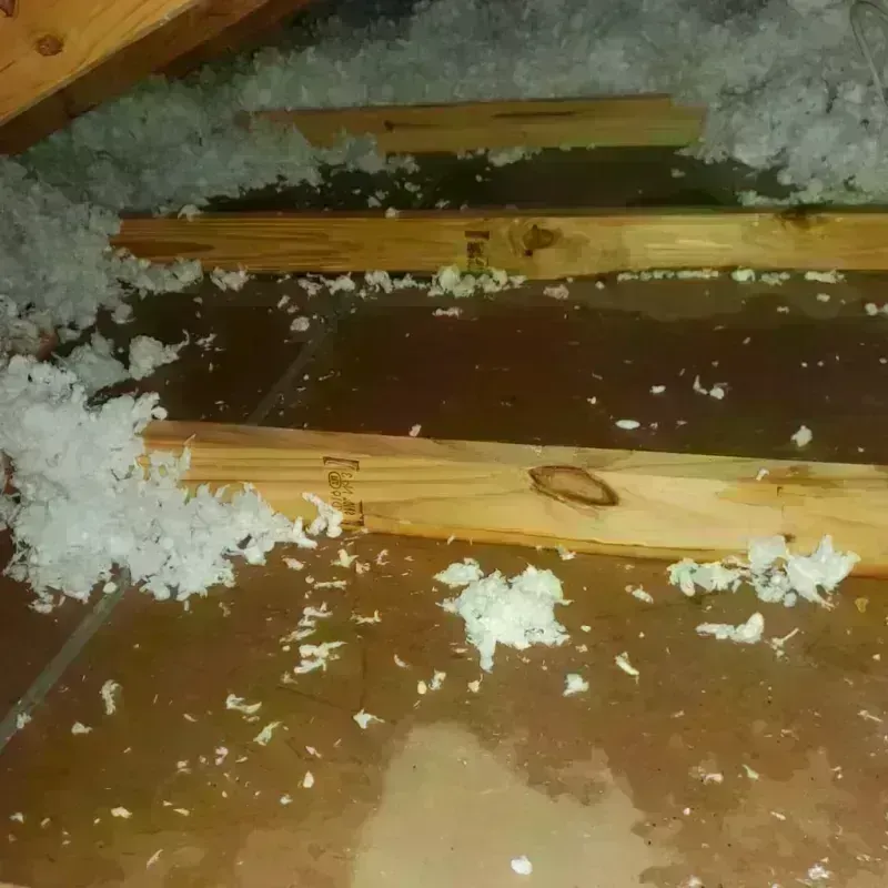 Attic Water Damage in Holcomb, KS