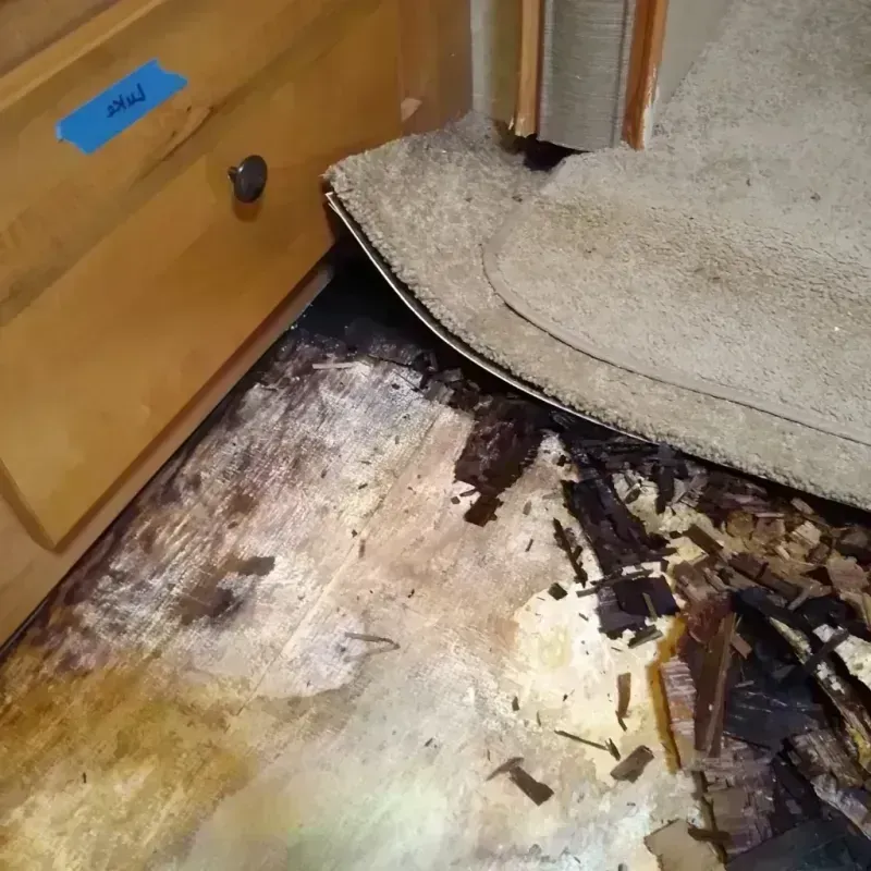 Wood Floor Water Damage in Holcomb, KS